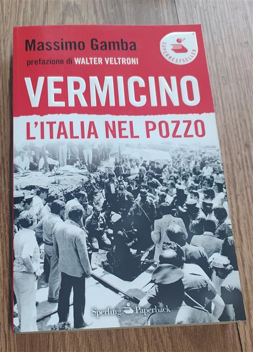 Vermicino. L'italia Nel Pozzo