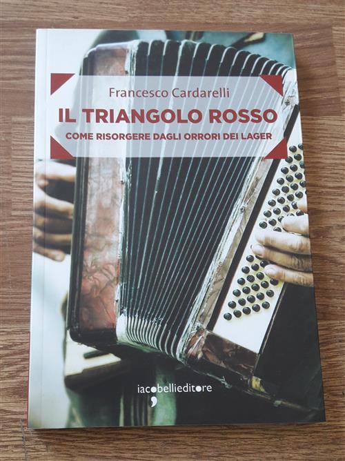 Il Triangolo Rosso. Come Risorgere Dagli Orrori Dei Lager