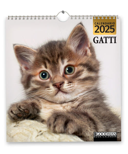 Gatti. Calendario 2025. Magnum Sprea Editori 2024