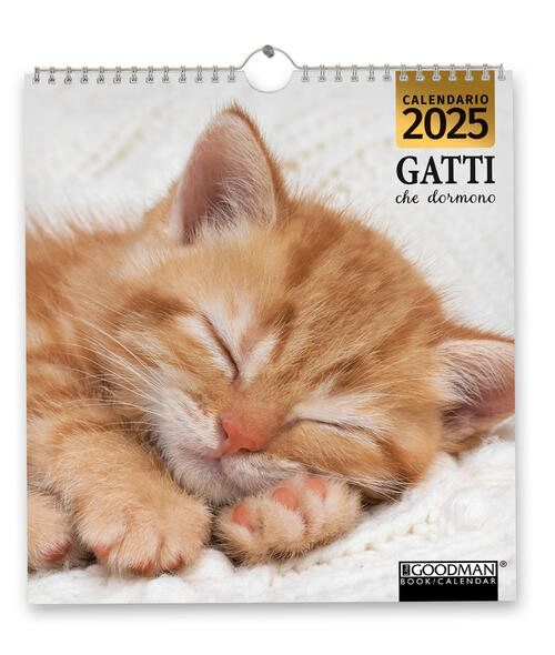 Gatti Che Dormono. Calendario 2025 Sprea Editori 2024