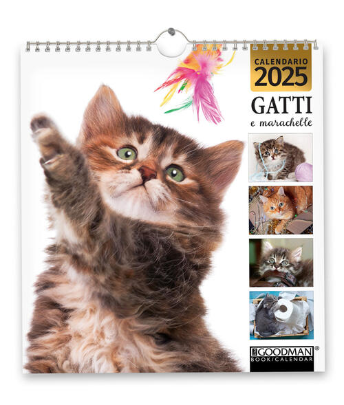 Gatti E Marachelle. Calendario 2025 Sprea Editori 2024