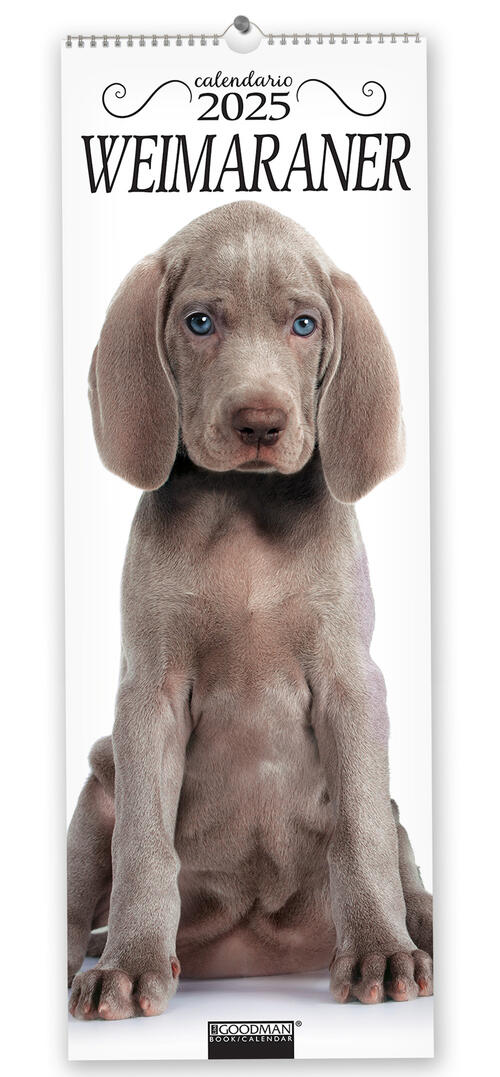 Weimaraner. Calendario 2025. Long Sprea Editori 2024