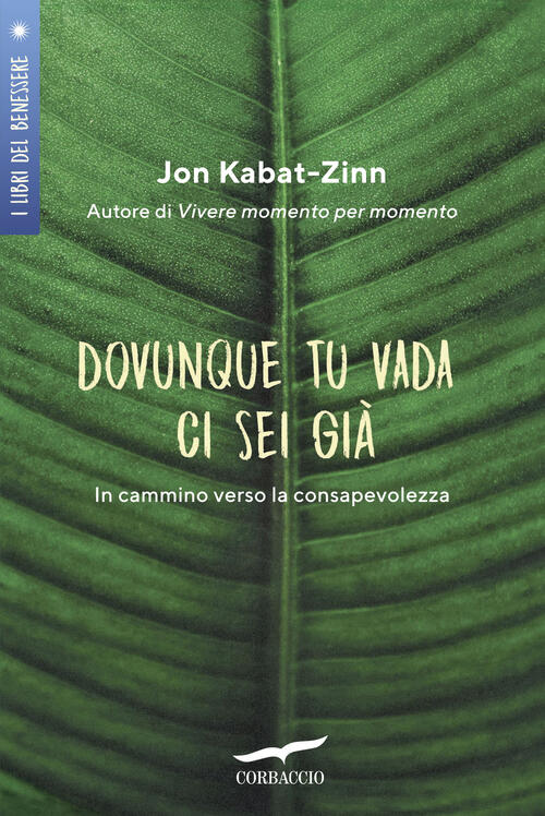 Dovunque Tu Vada Ci Sei Gia. In Cammino Verso La Consapevolezza Jon Kabat-Zinn