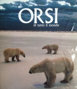 Orsi Di Tutto Il Mondo