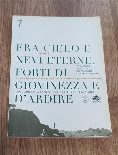 Fra Cielo E Nevi Eterne Forti Di Giovinezza E D'ardire. Massimiliano Majnoni Con Gli Alpini Del Val