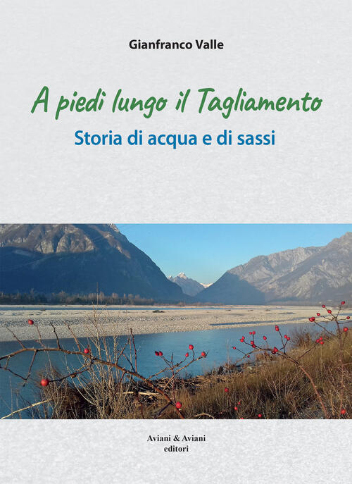 A Piedi Lungo Il Tagliamento. Storia Di Acqua E Di Sassi Gianfranco Valle Avia