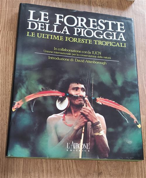 Le Foreste Della Pioggia. Le Ultime Foreste Tropicali