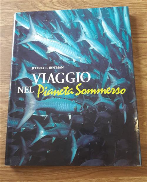 Viaggio Nel Pianeta Sommerso. Ediz. Illustrata