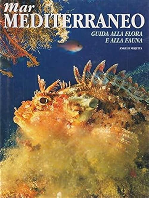 Mar Mediterraneo. Guida Alla Flora E Alla Fauna Angelo Mojetta White Star 2002