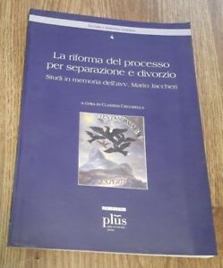 La Riforma Del Processo Per Separazione E Divorzio. Tutele Sostanziali E Process