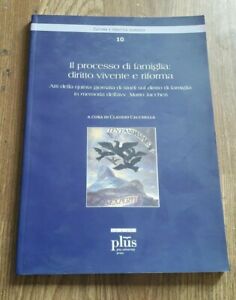 Il Processo Di Famiglia: Diritto Vivente E Riforma. Atti Della Qui