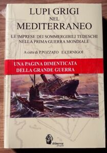 Lupi Grigi Nel Mediterraneo. Le Imprese Dei Sommergibili Tedeschi Nella Prima Guerra Mondiale