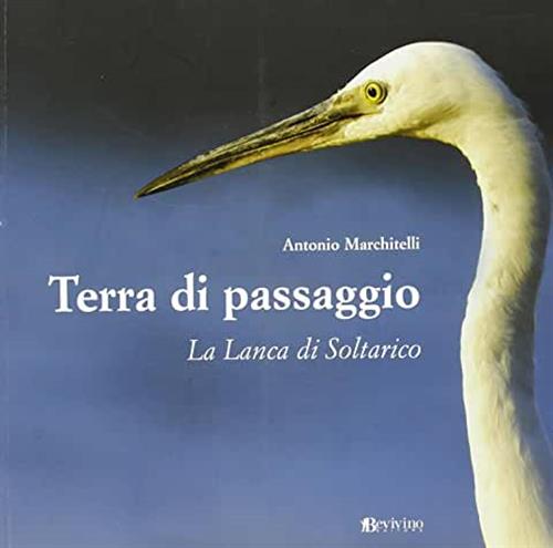 Terra Di Passaggio. La Lanca Di Soltarico