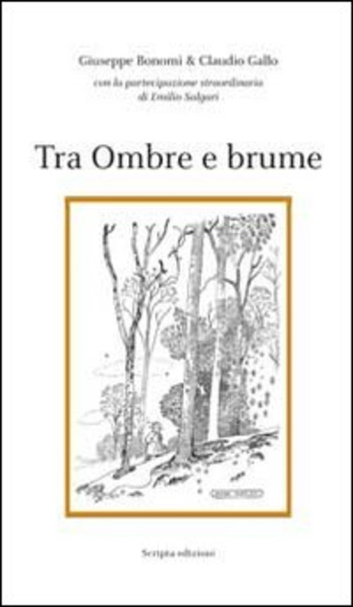 Tra Ombre E Brume Giuseppe Bonomi Scripta (Trento) 2013