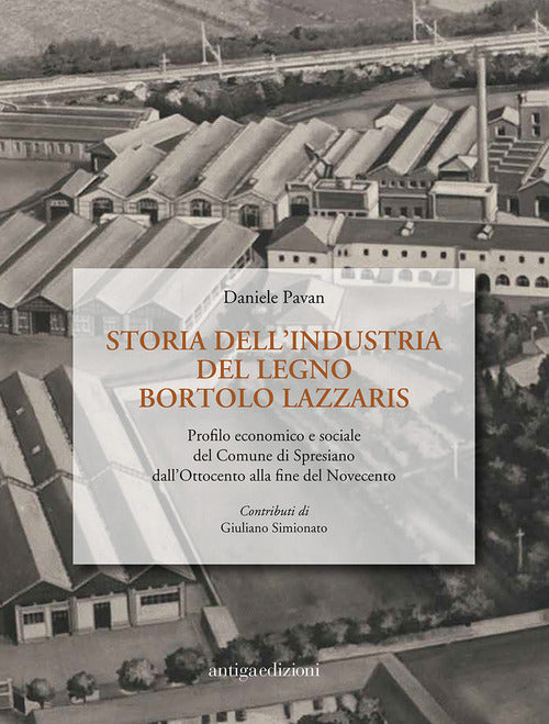 Storia Dell'industria Del Legno Bortolo Lazzaris Profilo Economico E Sociale D