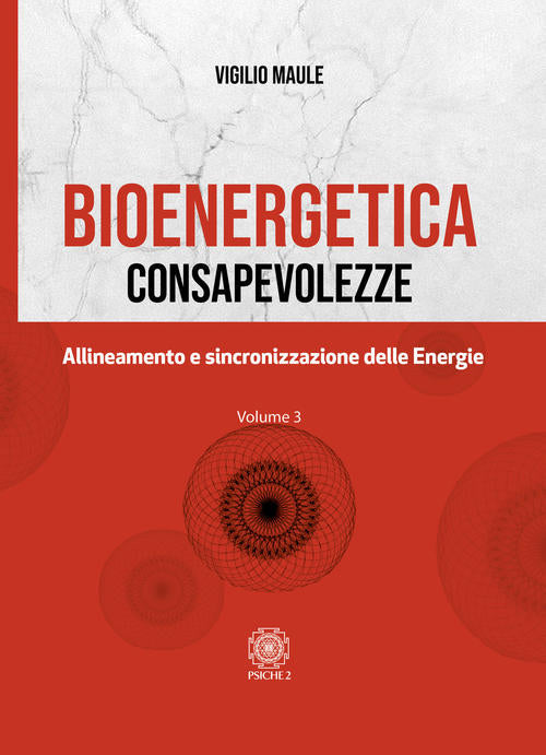 Bioenergetica. Consapevolezze. Vol. 3: Allineamento E Sincronizzazione Delle E