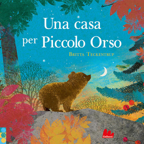 Una Casa Per Piccolo Orso Britta Teckentrup Gallucci 2024