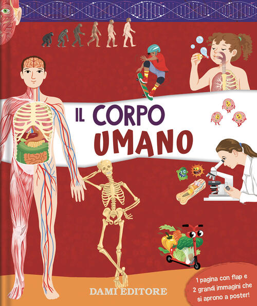 Il Corpo Umano. Ediz. A Colori Dami Editore 2023