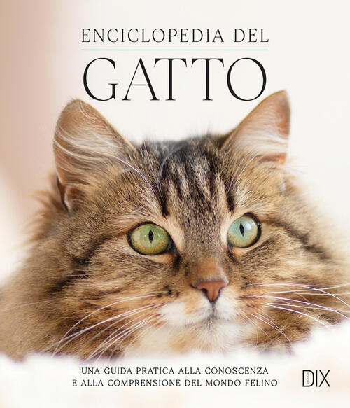 Enciclopedia Del Gatto Dix 2024