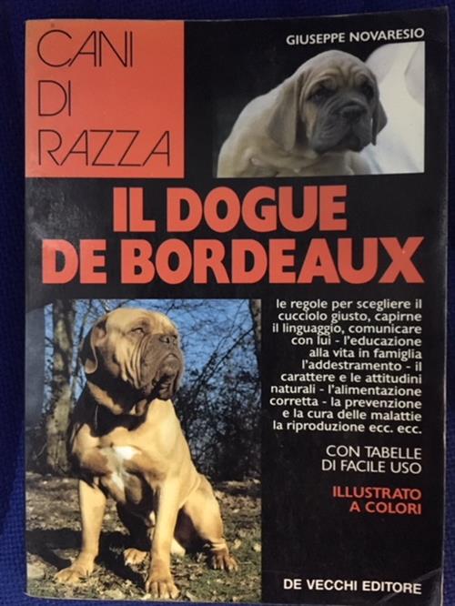 Dogue De Bordeaux